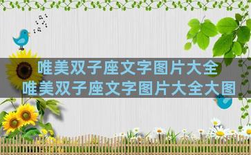 唯美双子座文字图片大全 唯美双子座文字图片大全大图